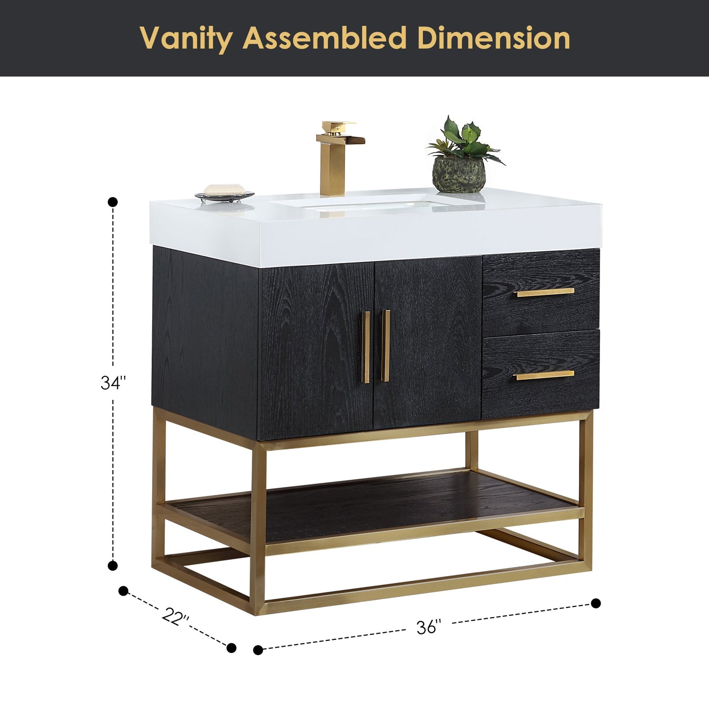Bianco 36" Single Bathroom Vanity in Black Oak with Brushed Gold Support Base and White Engineered Stone Countertop without Mirror