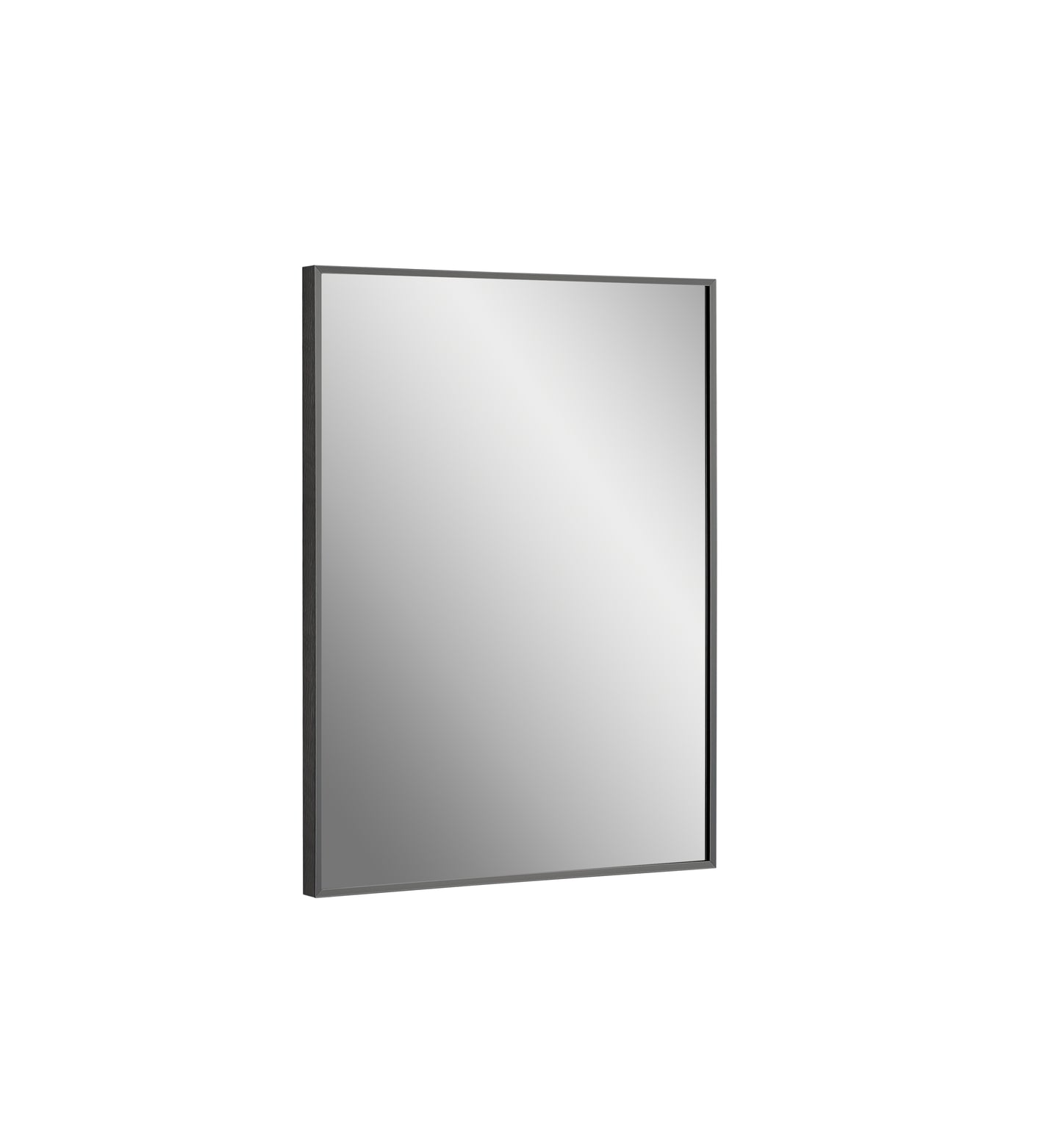 Vera 24" W x 32" H Rectangular Mirror in Matte Black