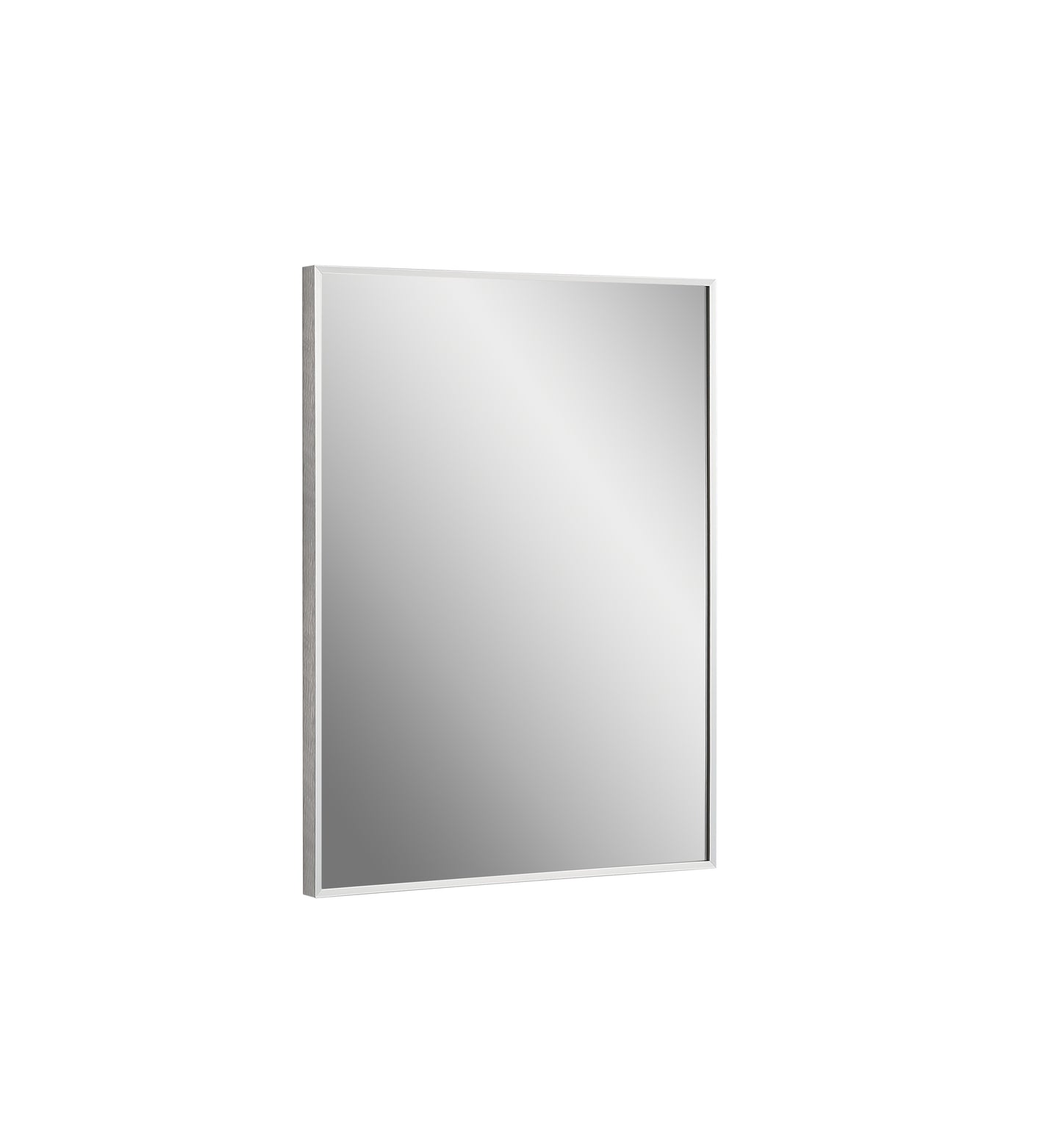 Vera 24" W x 32" H Rectangular Mirror in Chrome