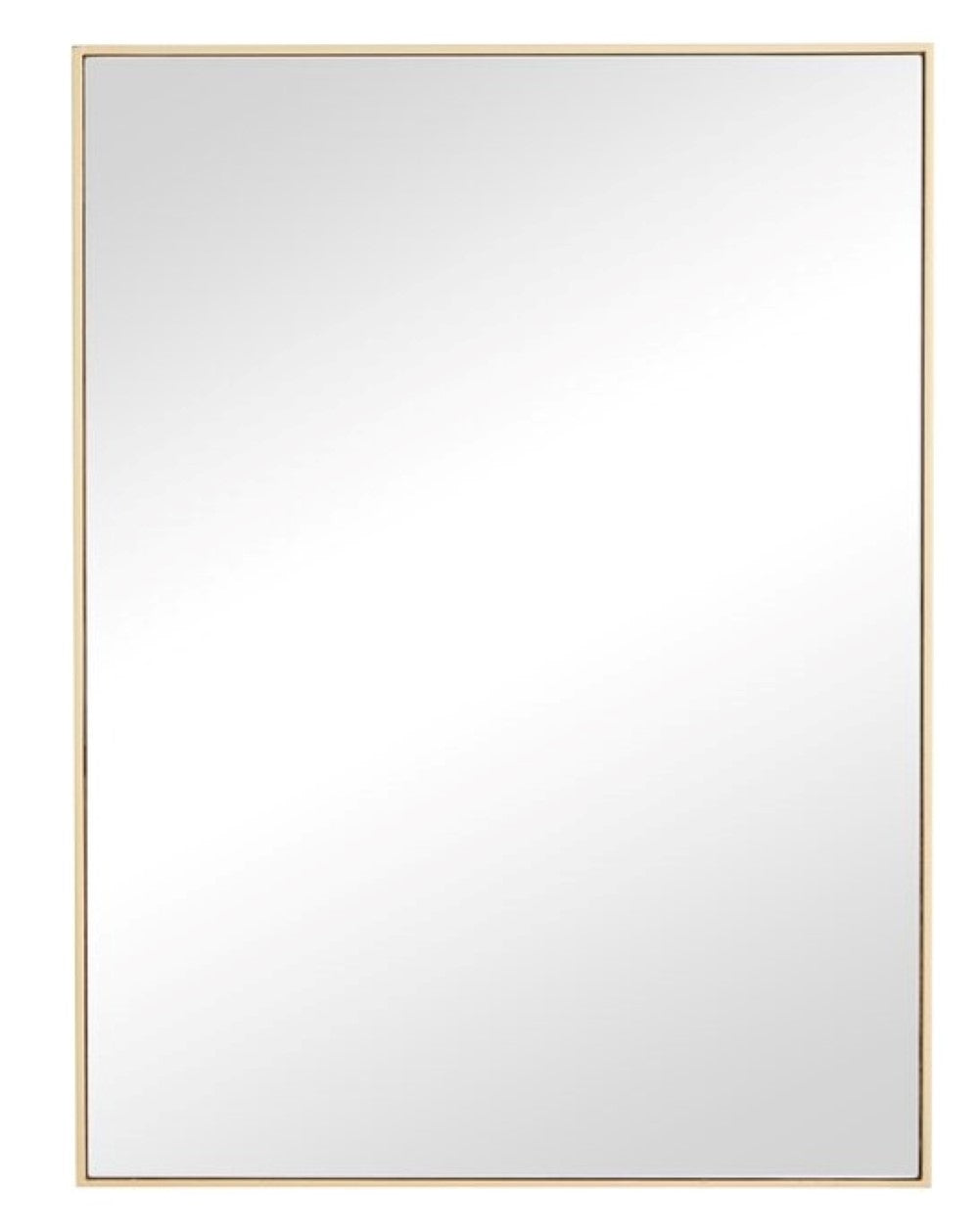 Vera 24" W x 32" H Rectangular Mirror in Rose Gold