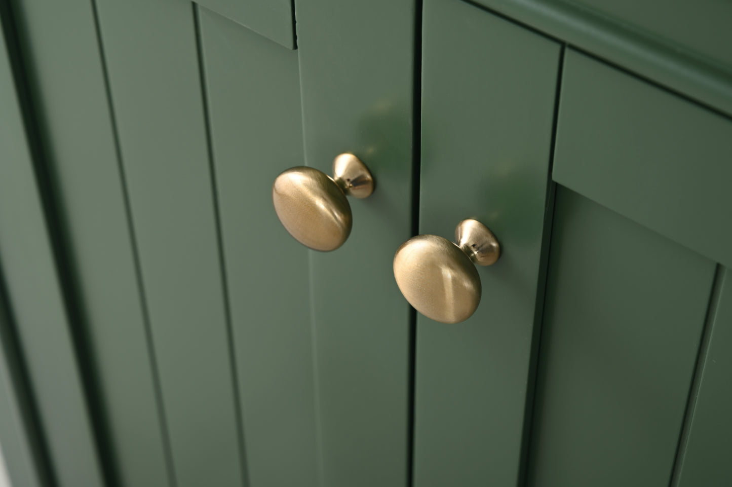Marian 24" Single Sink Vanity In Green
