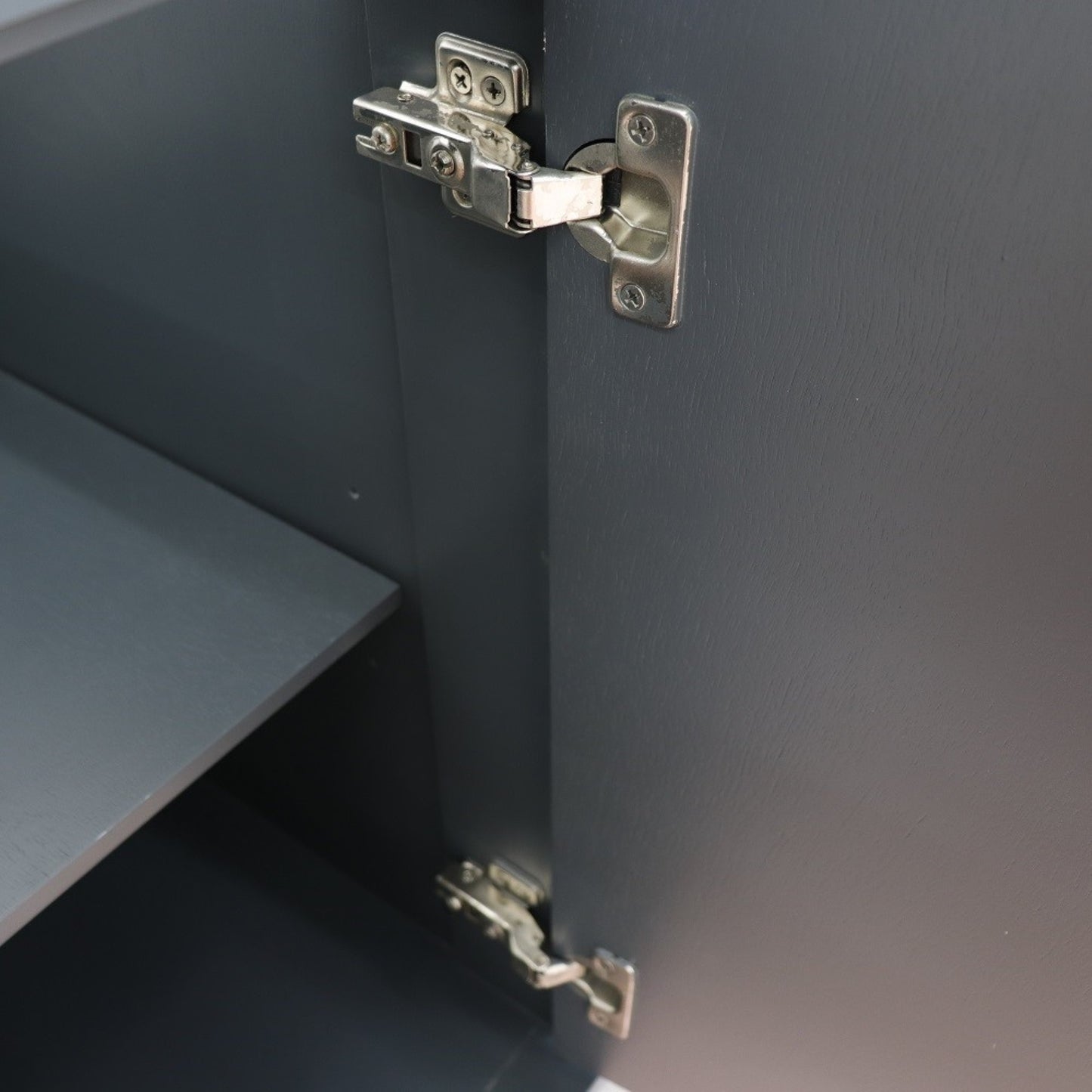 48" Single sink vanity in Dark Gray finish cabinet only