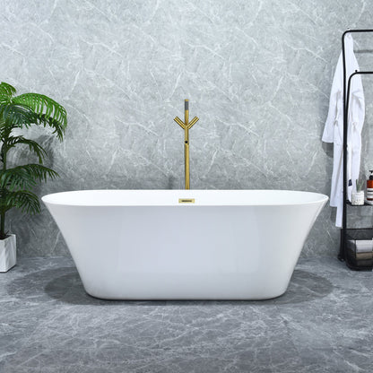 Blarn 65" x 29" Flatbottom Freestanding Acrylic Soaking Bathtub in Glossy White with Drain and Overflow