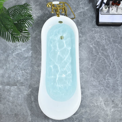 Fandi 64" x 28" Acrylic Clawfoot Soaking Bathtub in Glossy White with Brushed Brass Drain and Overflow