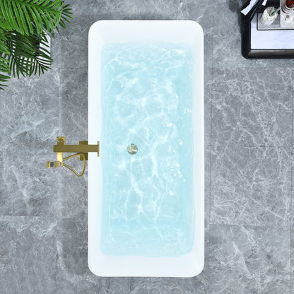 Carani 65" x 28" Flatbottom Freestanding Acrylic Soaking Bathtub in Glossy White with Drain and Overflow