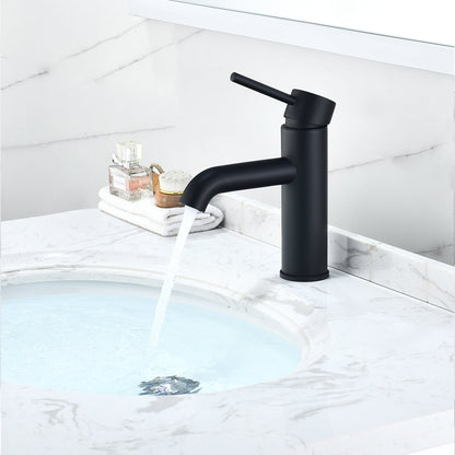 Tubize Single Hole Single-Handle Bathroom Faucet in Matte Black