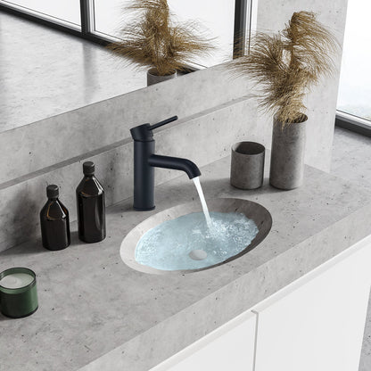 Tubize Single Hole Single-Handle Bathroom Faucet in Matte Black