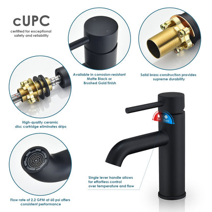 Tubize Single Hole Single-Handle Bathroom Faucet in Matte Black