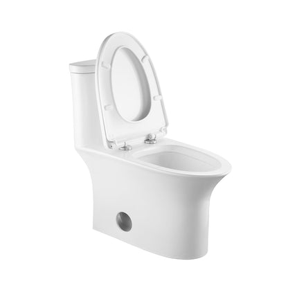 Ibiza 1.6/1.1 GPF Dual Flush Elongated One-Piece Toilet in White